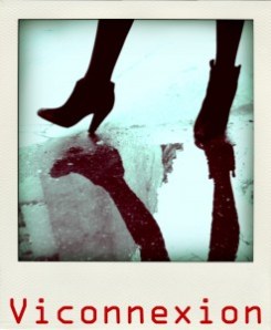 Viconnexion