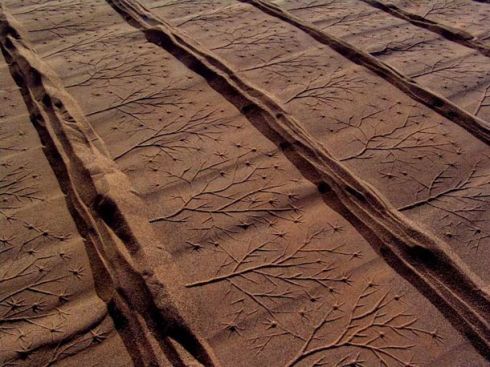 Ahmad-Nadalian-sand-prints-15