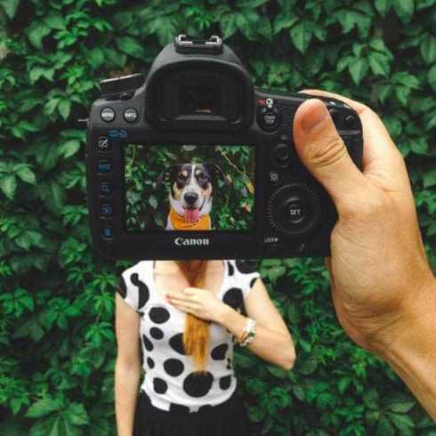 petheadz-zach-rose-10