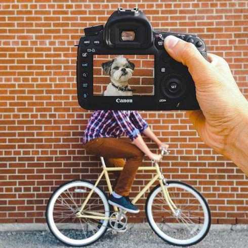 petheadz-zach-rose-2