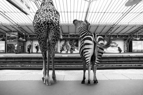 animetro-Clarisse-Rebotier-et-Thomas-Subtil-4