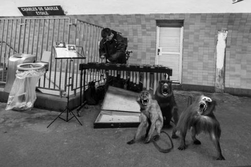 animetro-Clarisse-Rebotier-et-Thomas-Subtil-8