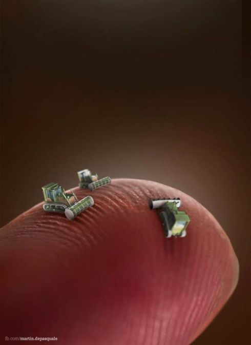 martin-de-pasquale-12