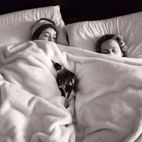 magpie-bloom-family-11