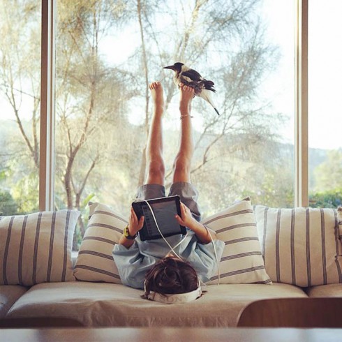 magpie-bloom-family-12