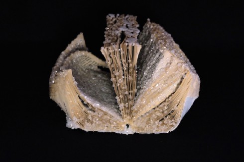 To-Kill-A-Mockingbird