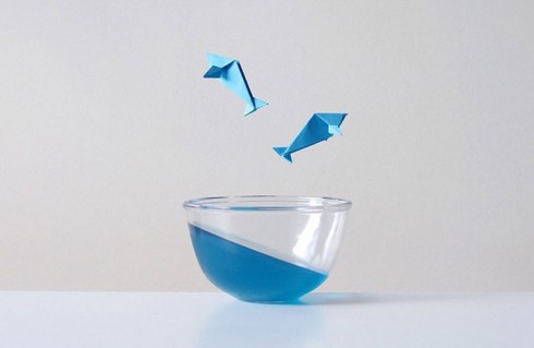 Peechaya-Burroughs-top