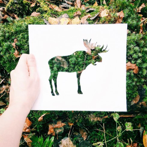 Nikolai-Tolsty-animal-silhouettes-17