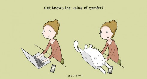 benefitshavecats13-900x487