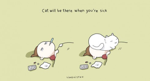 benefitshavecats2-900x487