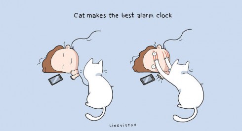 benefitshavecats3-900x487