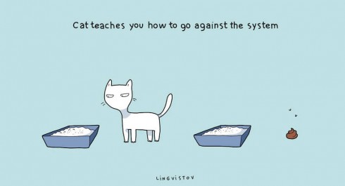 benefitshavecats7-900x487