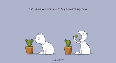 benefitshavecats9-900x487