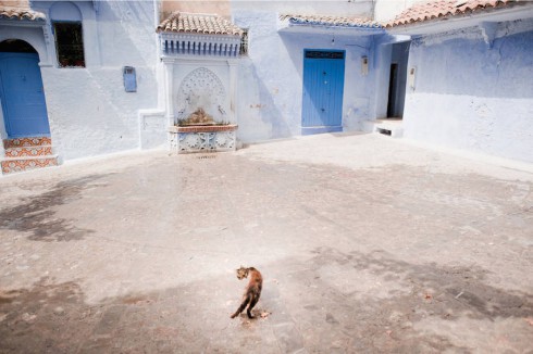 claudiacontent-2b-900x599