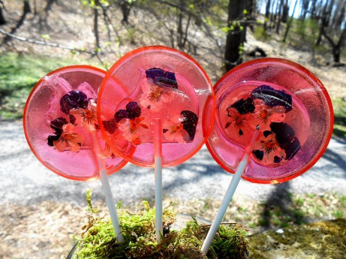 Funny-Lollipops-made-with-Real-Flowers-6