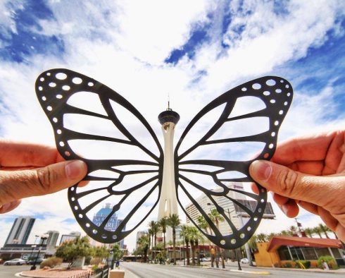 New-Creative-Papercuts-by-Rich-McCor12-900x723