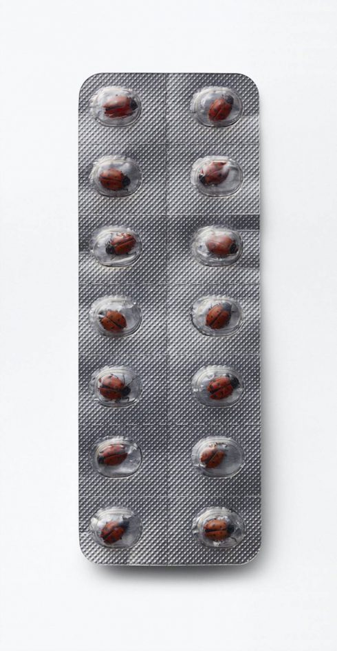 Provocative-Artworks-by-Nancy-Fouts8-900x1734